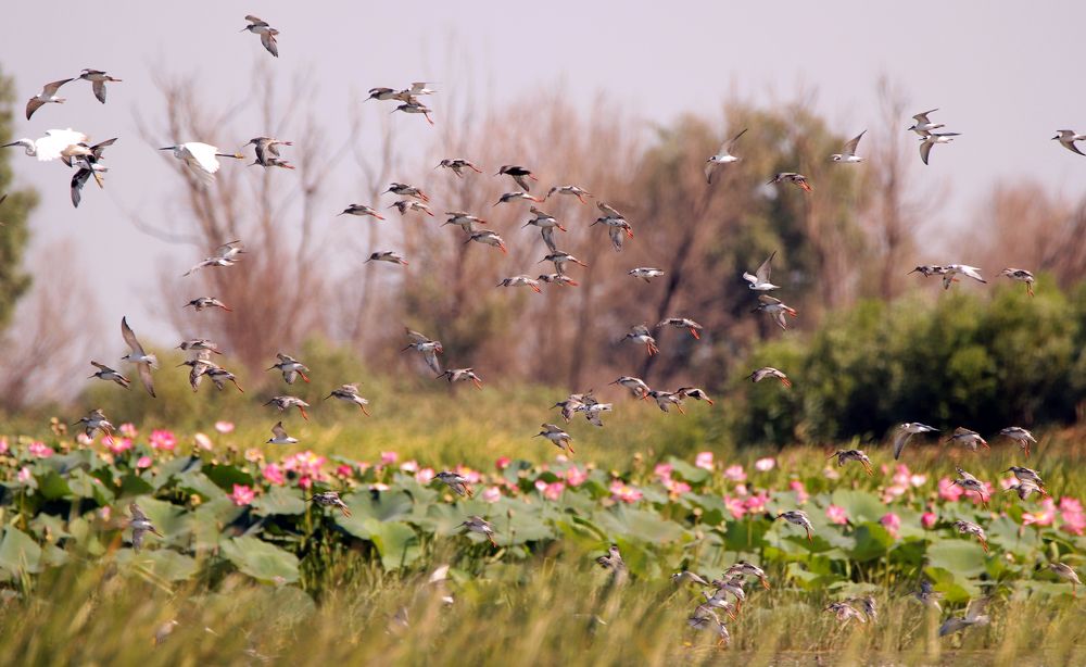 Photograph by Елена Врублевская