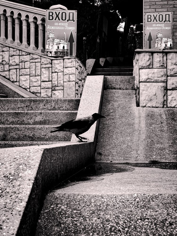 Photograph by Игорь Чечин