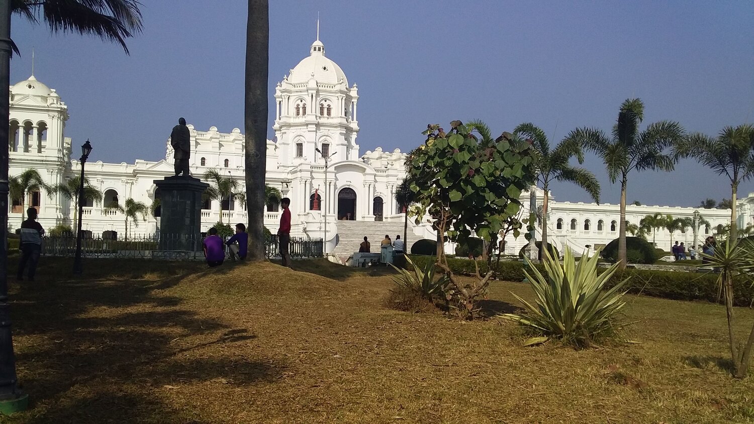 Photo #11108448