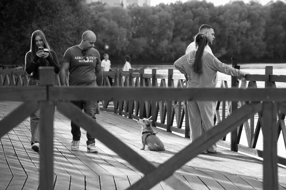 Photograph by Наталья Кулемина