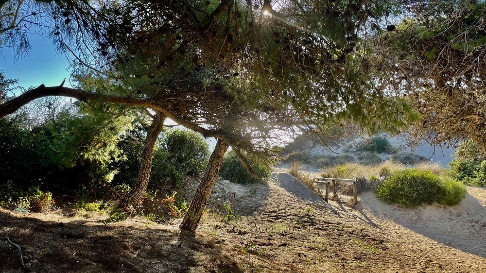 Photograph by Марина Измайлова