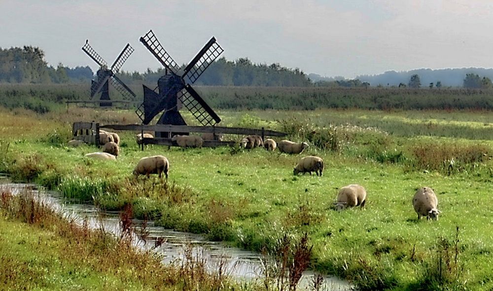 Мельницы Голландии