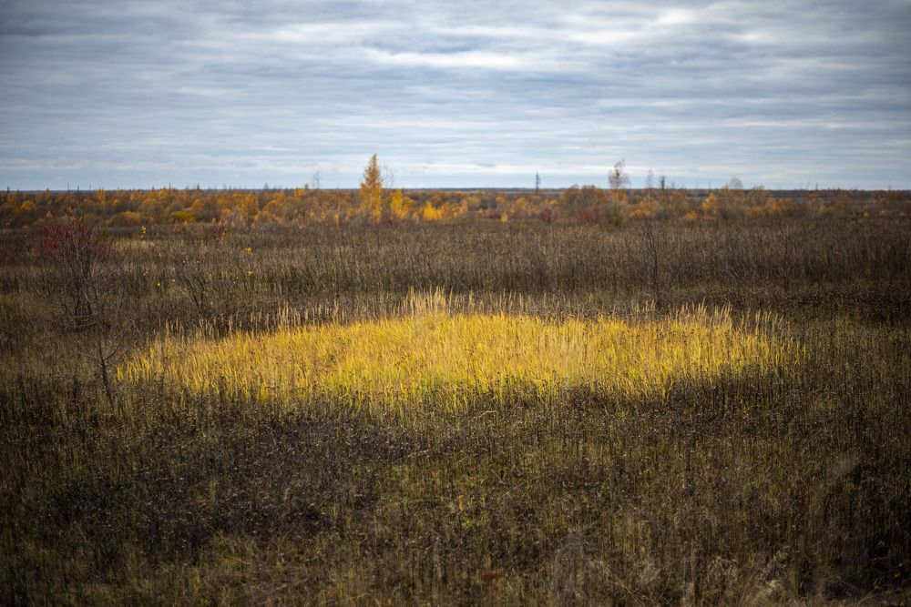 Photograph by Дария Ризниченко