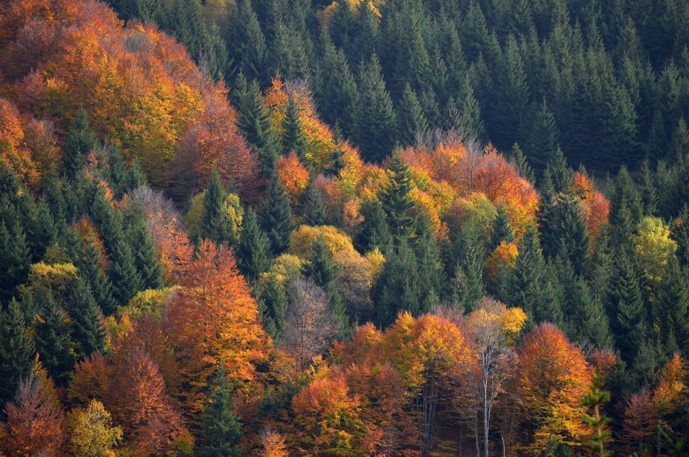 Photograph by Olja Simovic