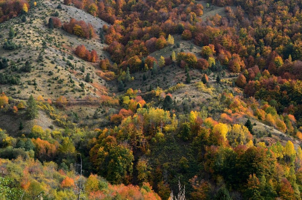 Photograph by Olja Simovic