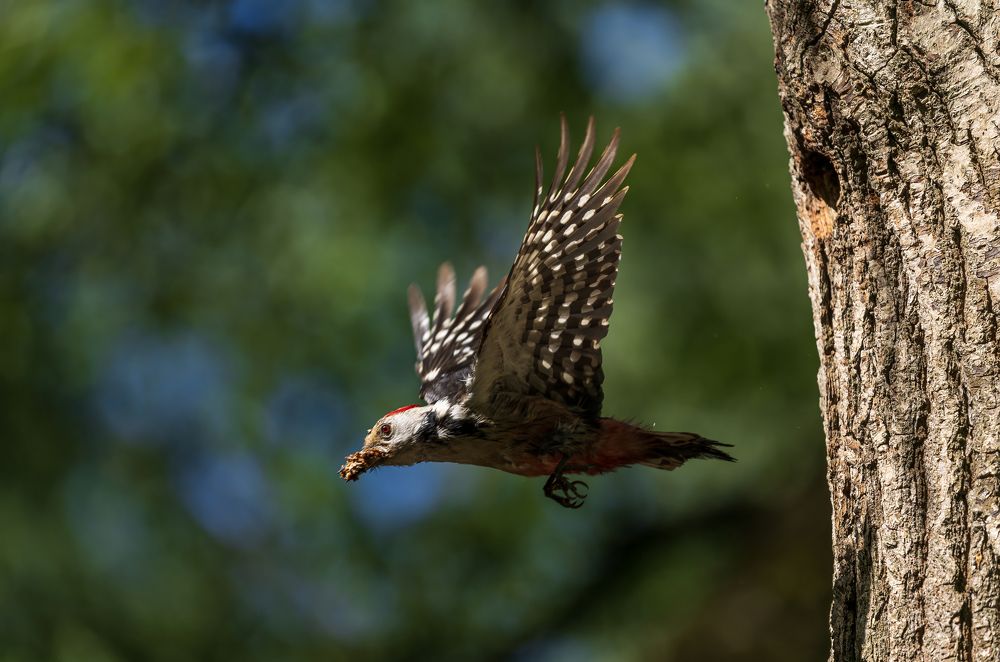 Photograph by Наталья