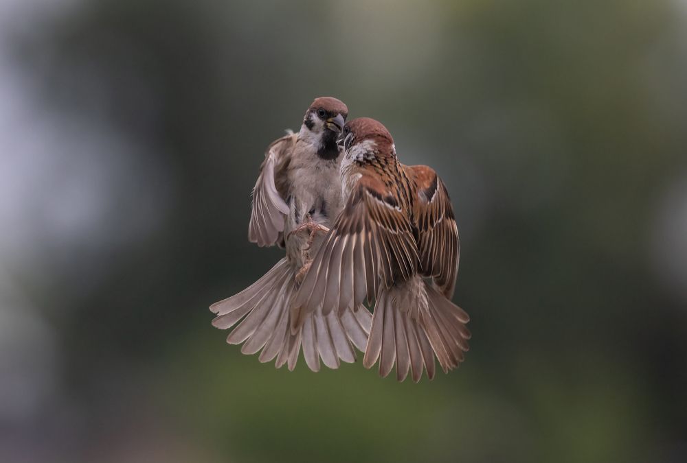 Photograph by Наталья