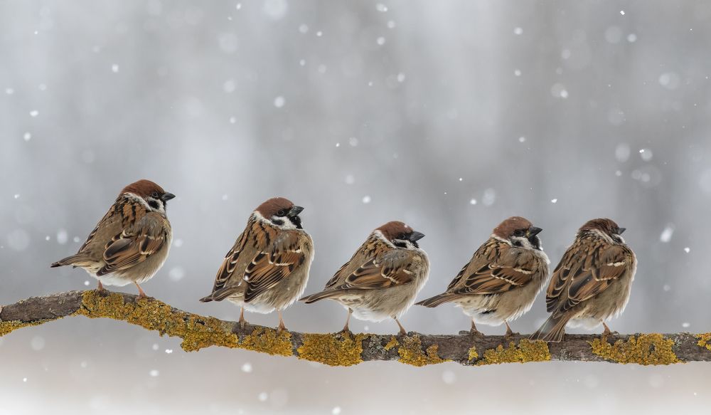 Photograph by Наталья