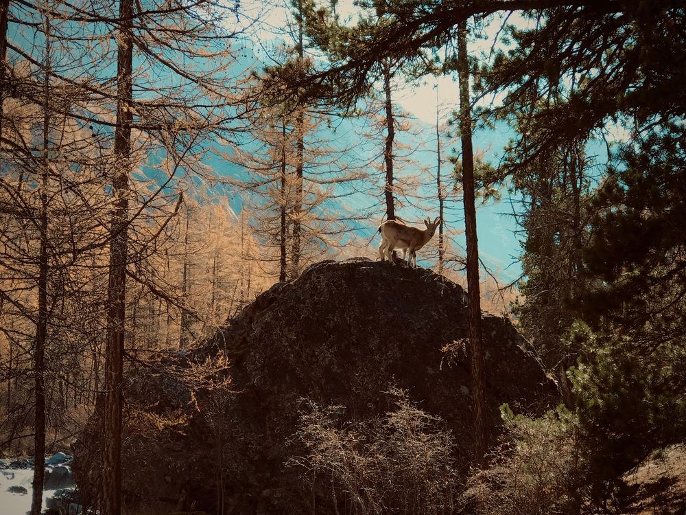 Photograph by Юлия Горбунова