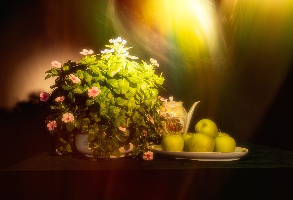 Photograph by Касьянова Ольга