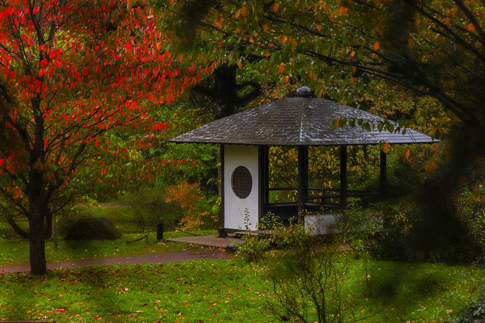 Photograph by Дмитрий Свинухов