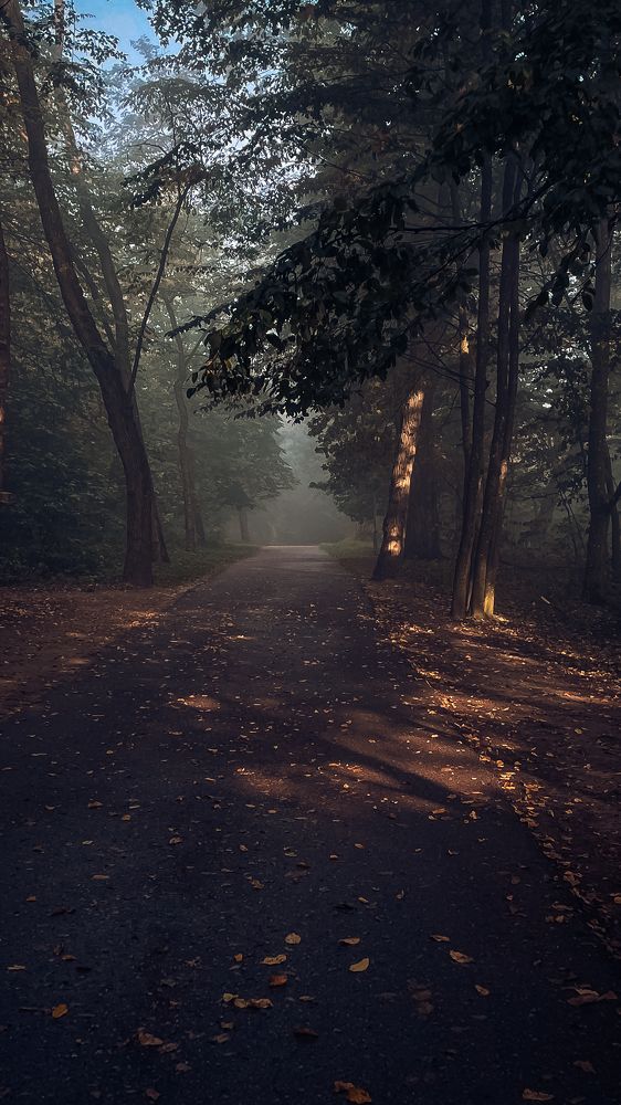 Фотография автора Ольга Каминская