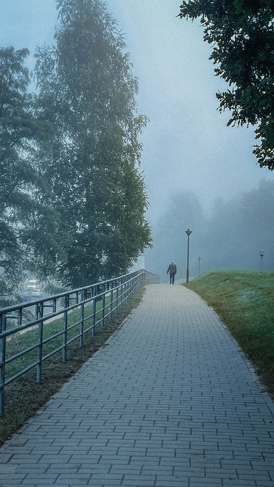 Фотография автора Ольга Каминская