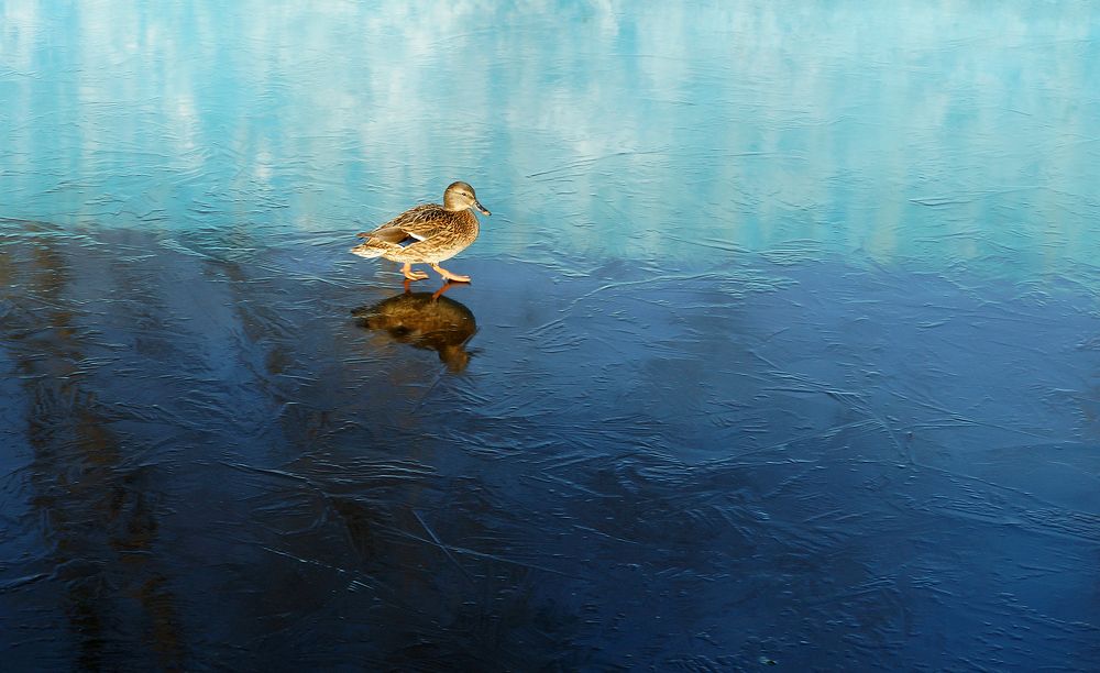 Photograph by Анатолий Максимов