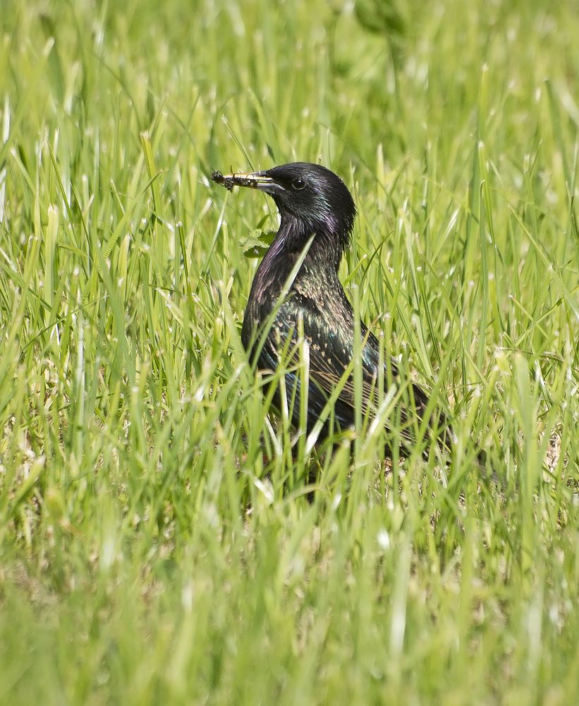 Photograph by Анатолий Максимов