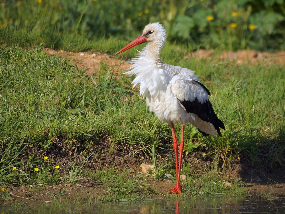 Photograph by Анатолий Максимов