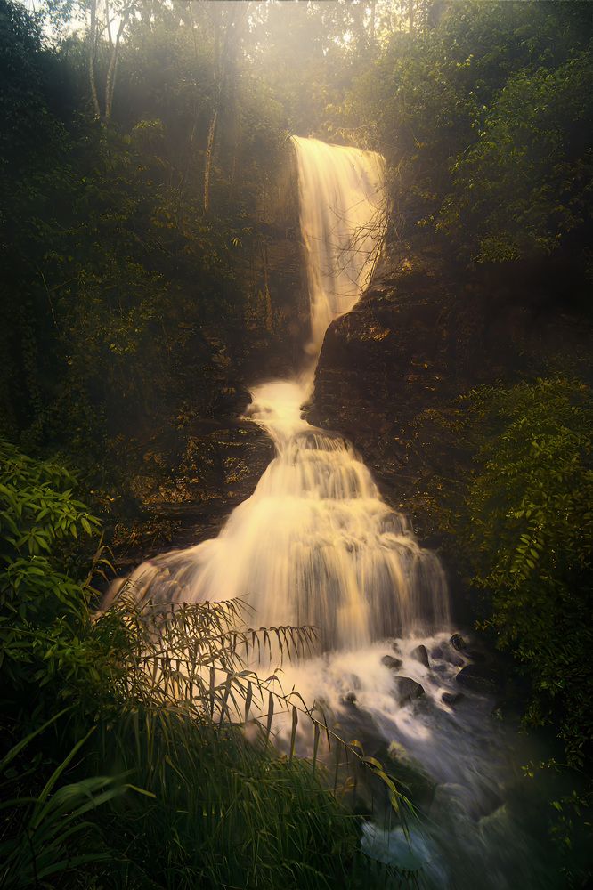 Photograph by Amila Hewagama