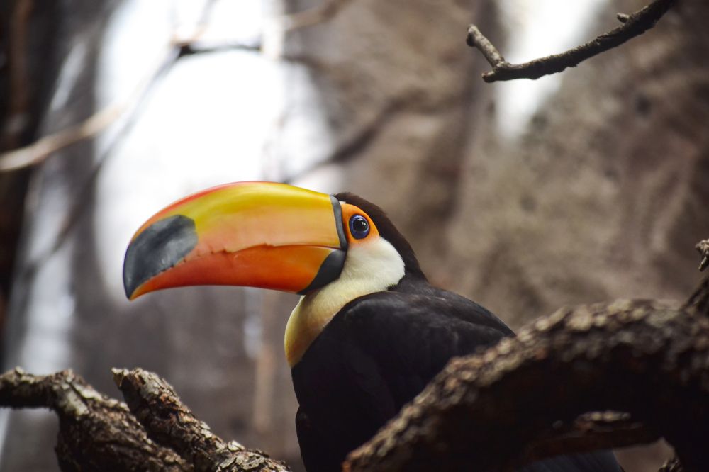 Photograph by María Gromiko