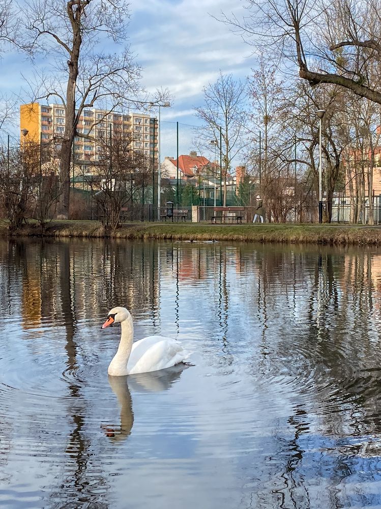 Photograph by Yuliana Zhyriakova