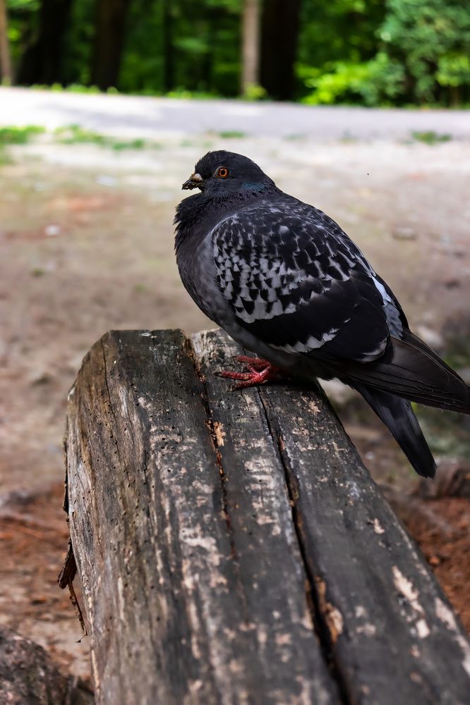 Photograph by Yuliana Zhyriakova