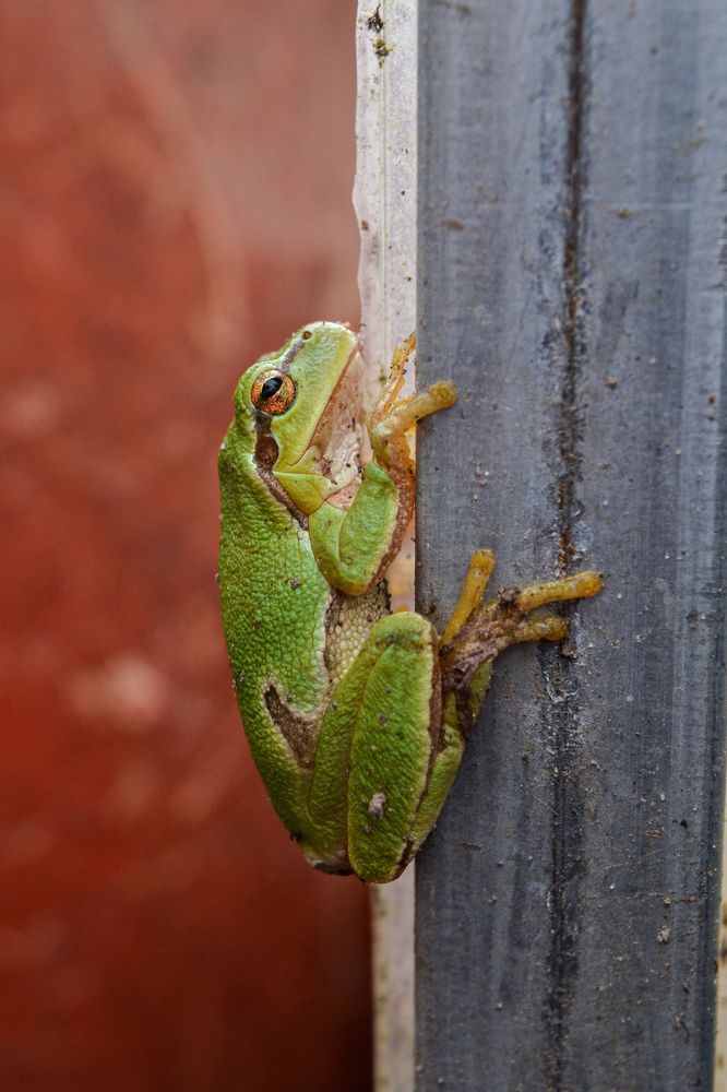 Photograph by María Gromiko