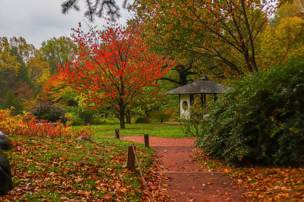 Photograph by Дмитрий Свинухов