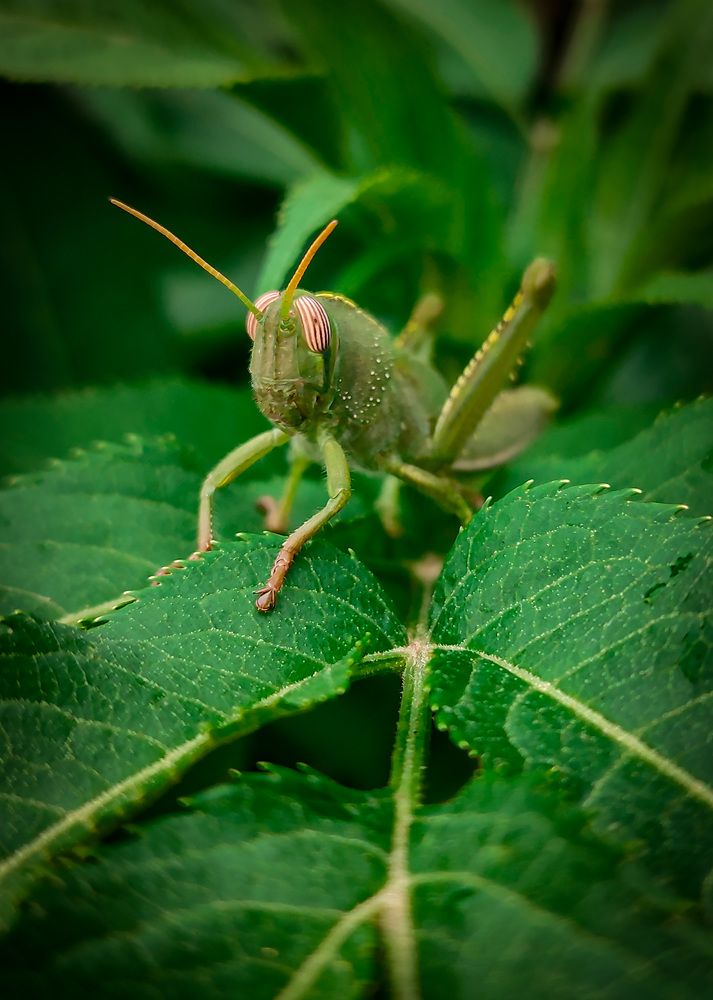 Photograph by Юрий Юрьевич Подгрушный