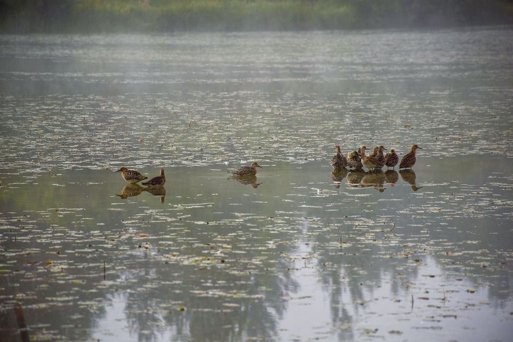 Photograph by Дмитрий Петров