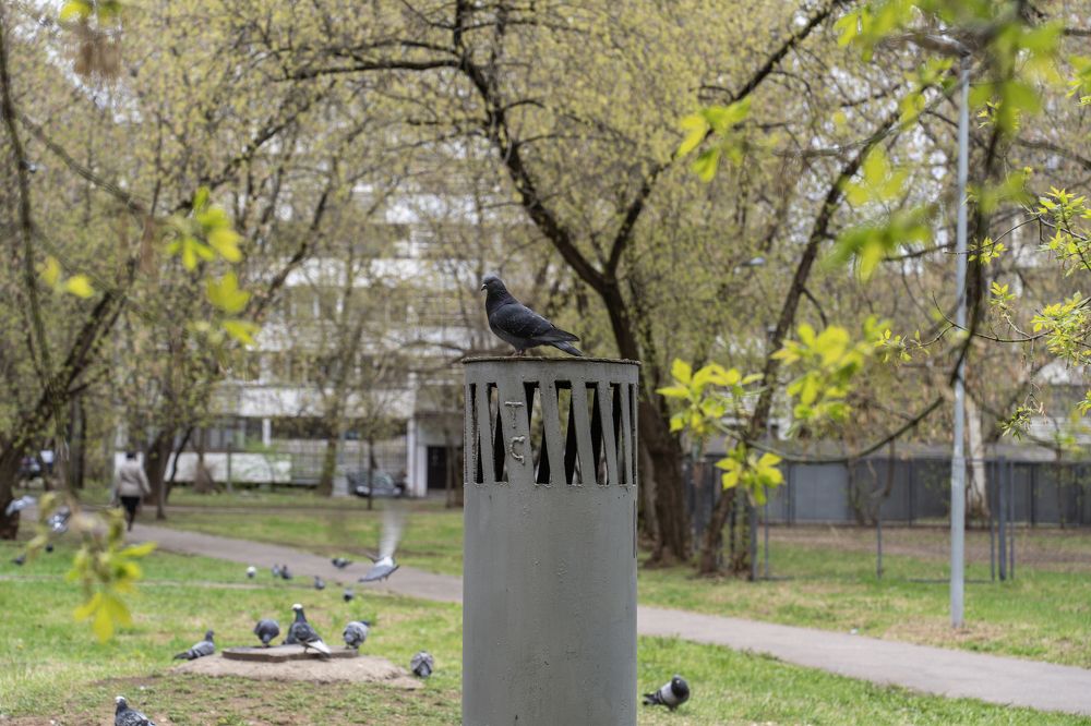 Photograph by Андрей Пучков