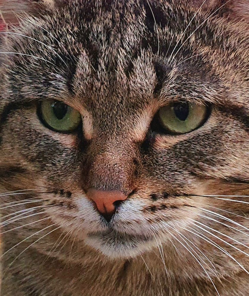 Photograph by Яна Галимуллина