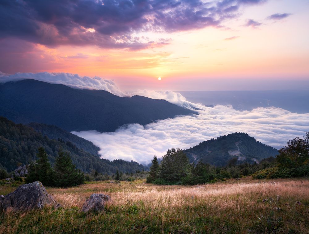 Photograph by Helen Vasilieva