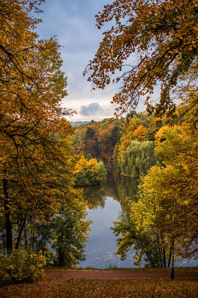 Photograph by Мария Тишина