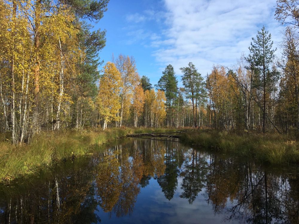 Photograph by Александр Зуев