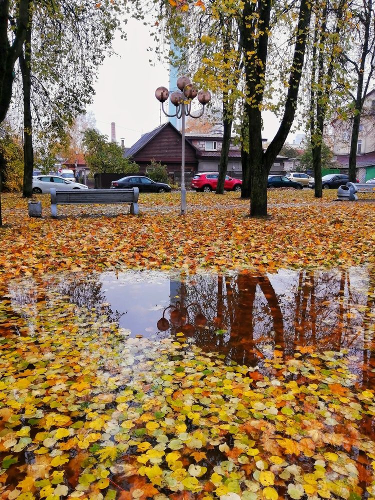 Photograph by Ольга Каменская