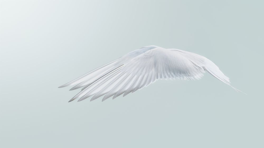 Photograph by Николай Мироненко