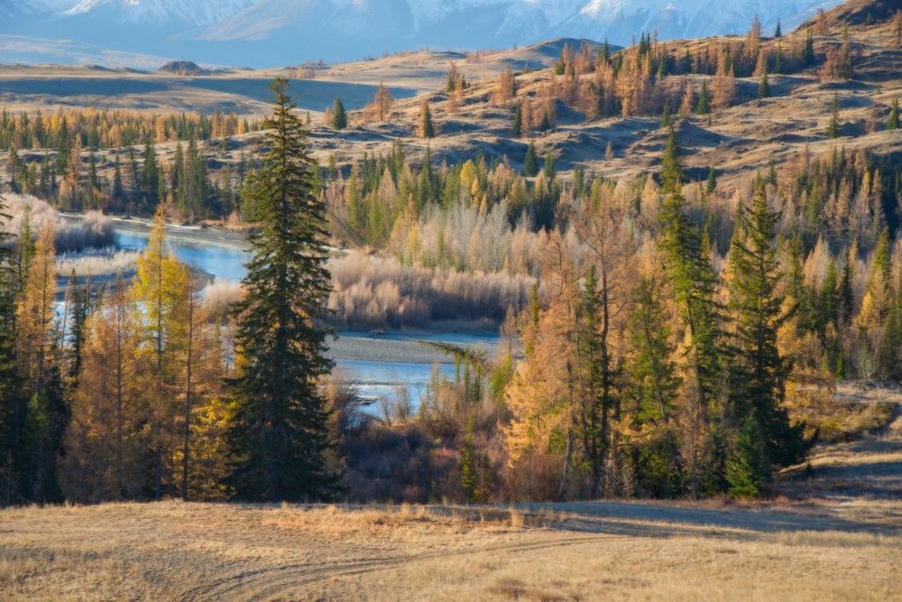 Photograph by Вадим Качанов