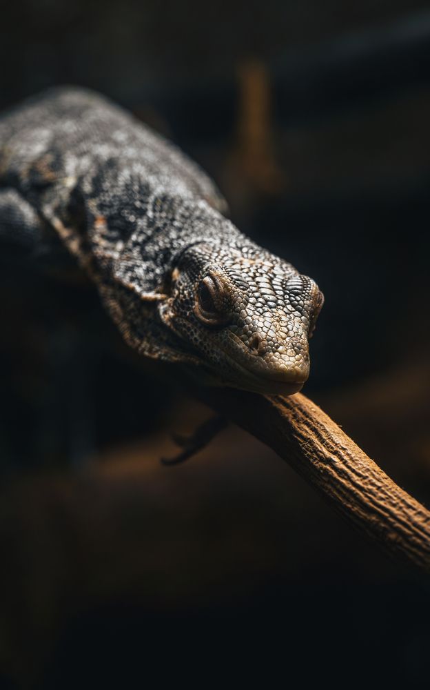 Фотография автора Andrey Yakushev