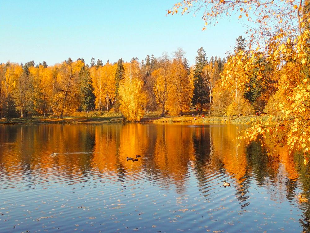 Photograph by Anna Cherkasova