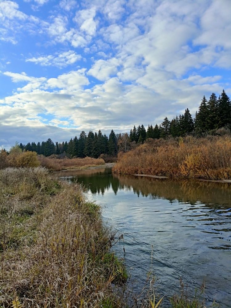 Photograph by Анастасия Горбачева
