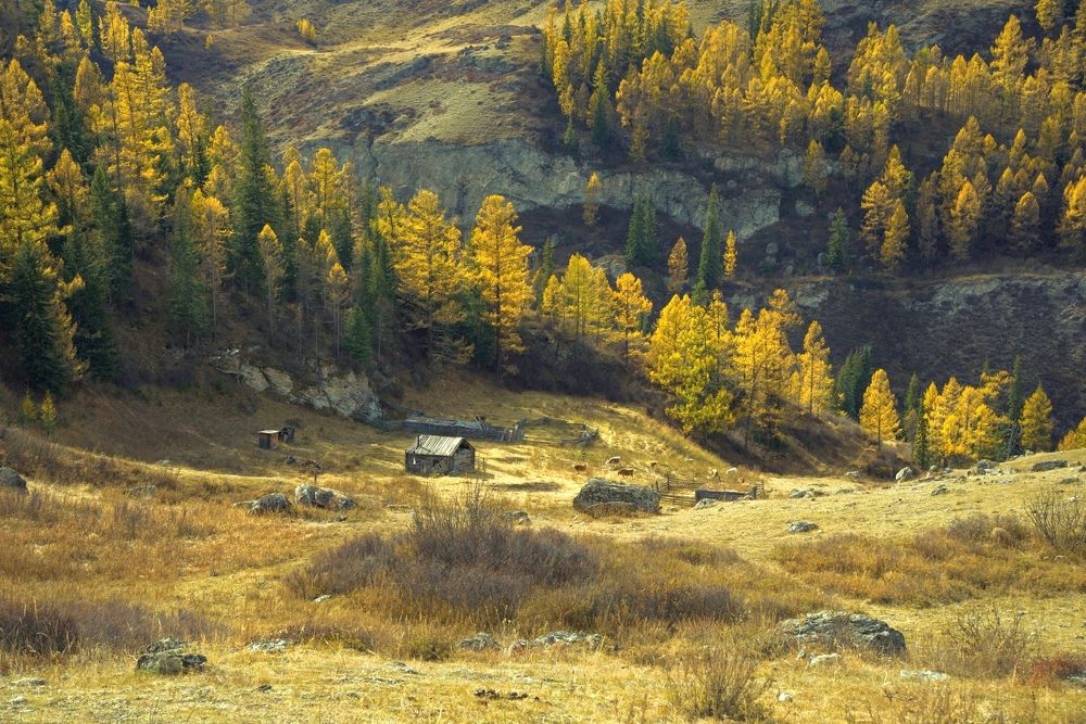 Photograph by Вадим Качанов