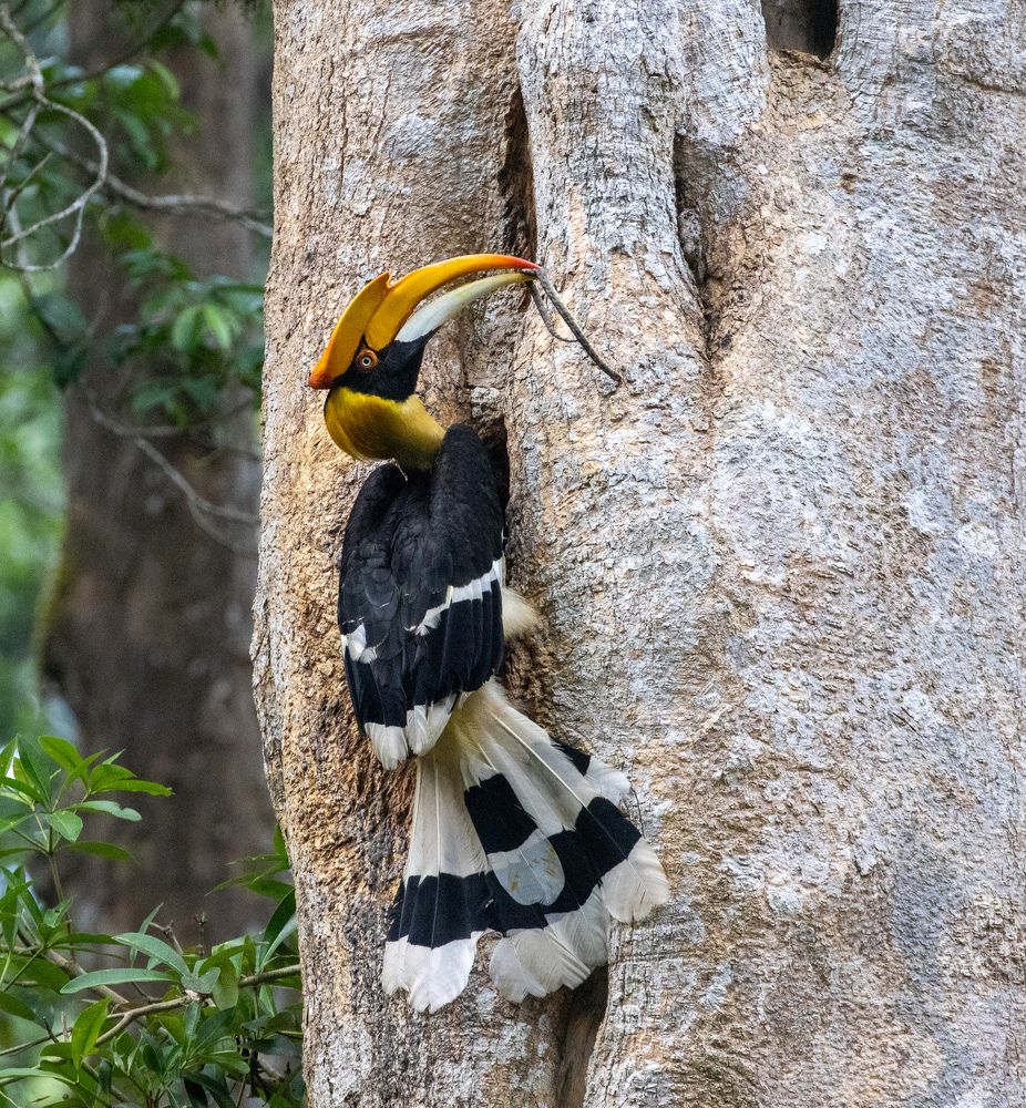 Photograph by Rehana Alpha