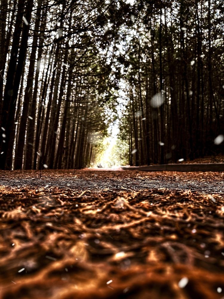 Photograph by Anton Minakov