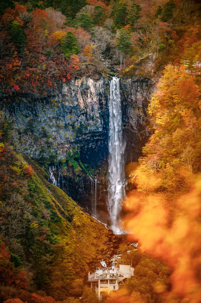 Фотография автора 