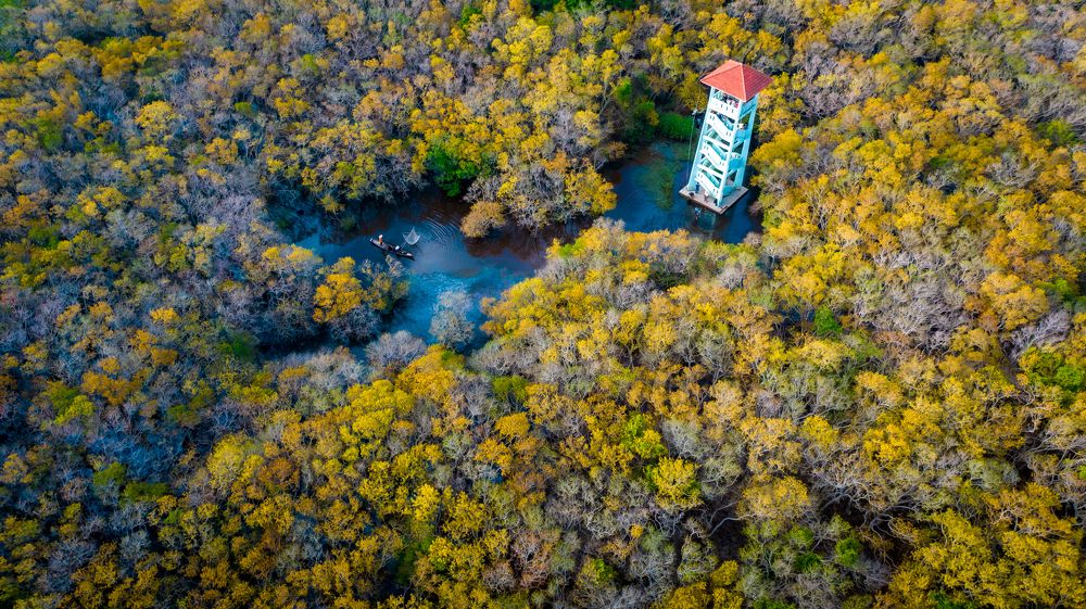 Photograph by Minh Tú Nguyễn