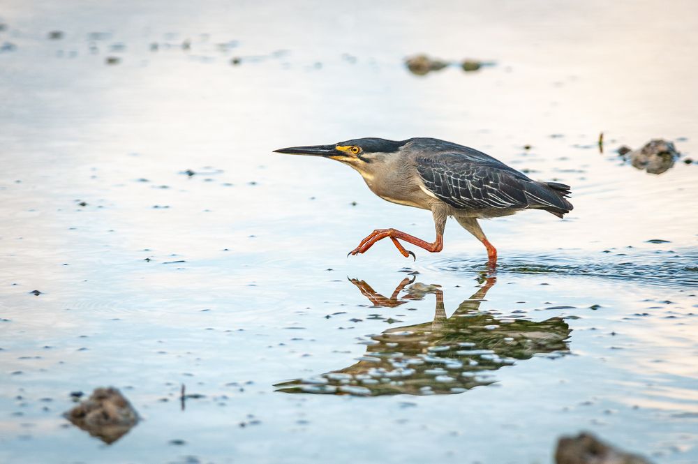 Нормальные герои всегда идут в обход