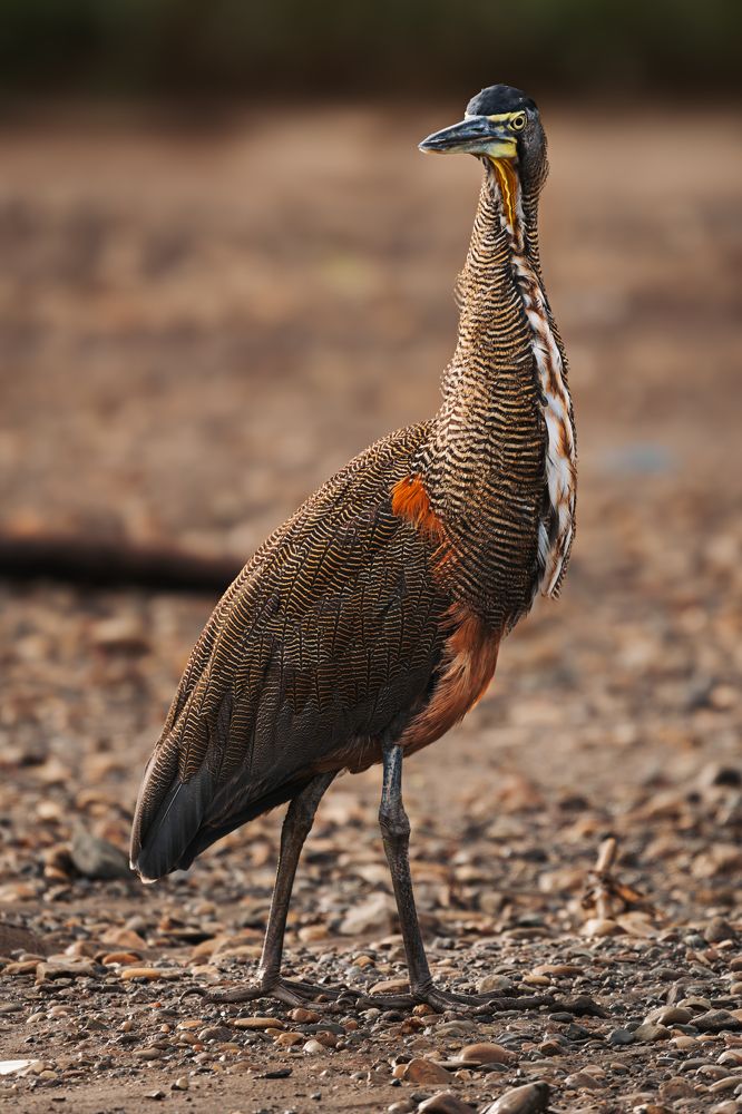 Photograph by Helyin Bermúdez