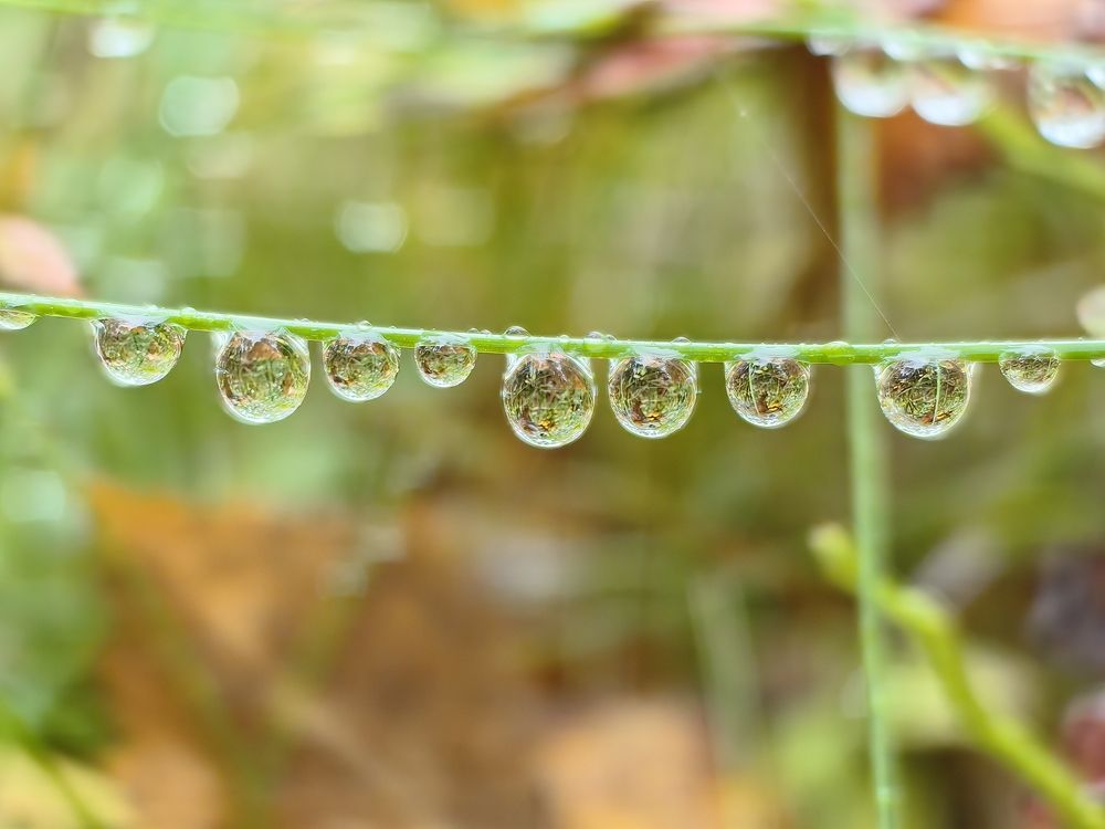 Фотография автора Sparc-jr