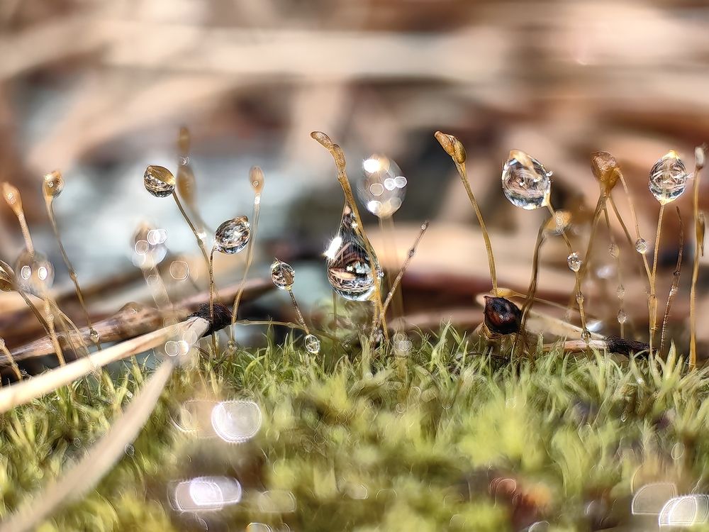 Фотография автора Sparc-jr