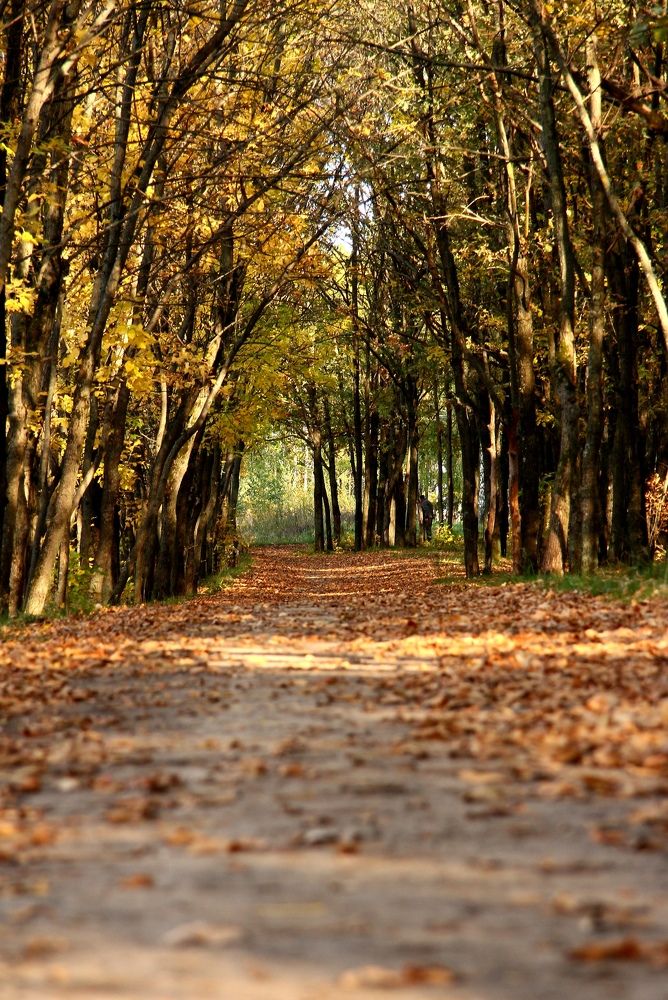 Photograph by Александр Малютин