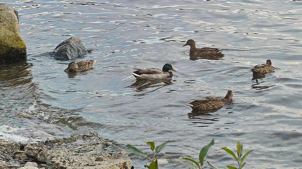 Photograph by Виталий Черепенькин